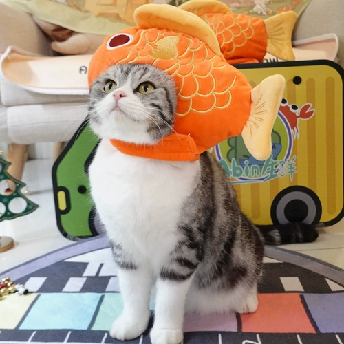 Удачи домашним животным каждый год, удачи в новом году, головной убор в виде рыбы кои, новогодняя шапка для кошки, благоприятное платье, британский короткий американский короткий головной убор