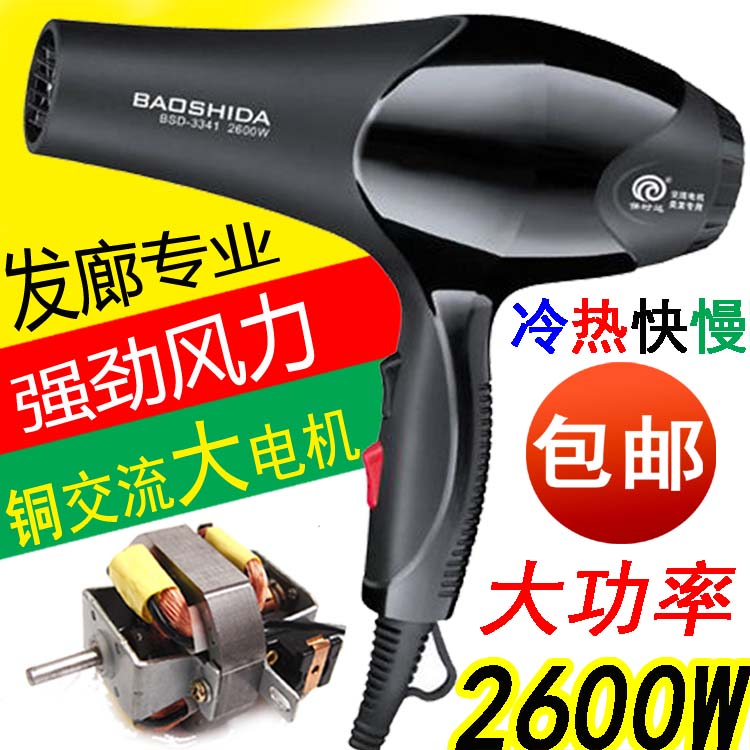 Baoshida 2600W high-power electric hair dryer hair salon home hot and cold fast and slow air AC motor