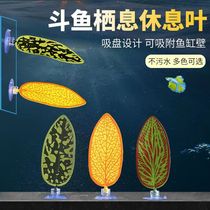 Aquarium pet supplies decoration simulation aquatic plants fish tank landscaping artificial simulation betta leaves resting leaves spawning leaves
