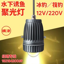 12V 220V underwater lure lamp 113 gathering fish lamp Cutting fishing lamp Raft fishing lamp Fish lamp Fish lamp Fish lamp mouth yellow light