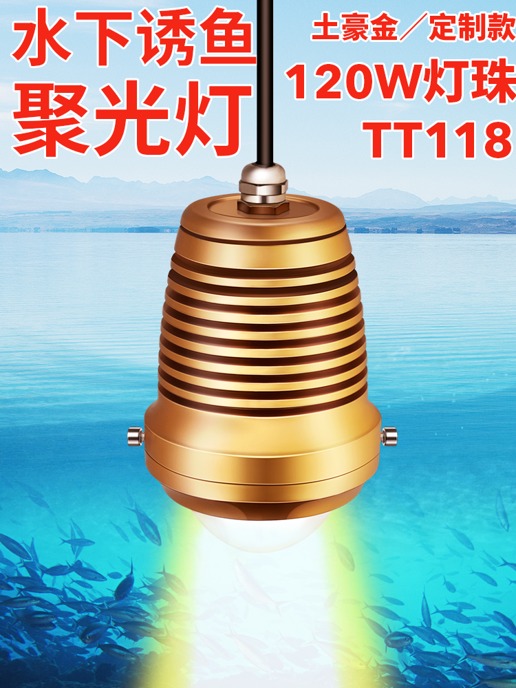 12V lure fish lamp Underwater collection raft fishing High-power ultra-bright night fishing Cut fishing lure fish lamp mouth-up ice fishing small male fish