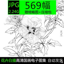 Chinese Gongbi painting flowers and birds white drawing background Chinese painting HD picture material art painting