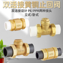 PPR hot melt check valve water pump anti-backflow check valve 20 brass double-live connection one-way valve 4 minutes 6 minutes pe water pipe