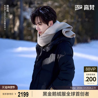 [Same Style as Wei Zhenming] Gaofan Black Gold Goose down Jacket Functional 5.0 Eight-Grid down 2025 Winter Unisex Coat