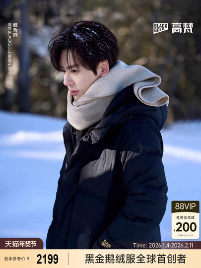 Куртка-пуховик Gaofan Black Gold в стиле Вэй Чжэмин, функциональная, 5.0, с восемью секциями, унисекс, зима 2025