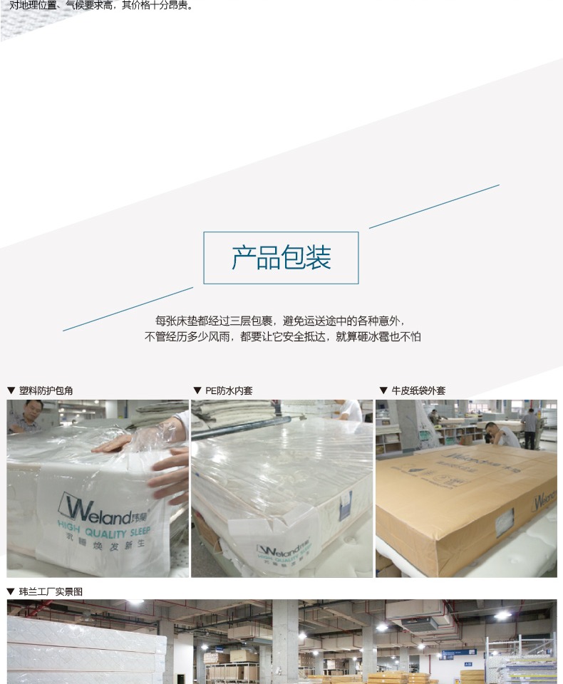 Wei Lan hoàn toàn tự nhiên cứng nệm nâu Zongdian trẻ em và người già trẻ em cọ nệm 1,8 m 1,5 - Nệm đệm ngủ