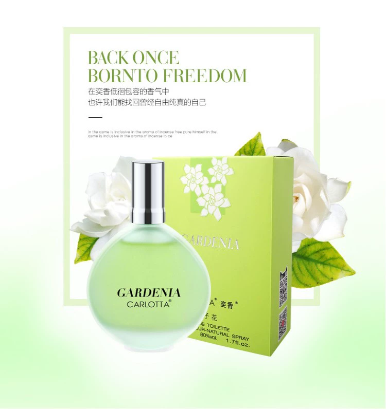 Hoa nhài tự nhiên có mùi thơm hoa nhài osmanthus hoa hồng hoa oải hương Gardenia sinh viên nước hoa lady hương thơm lâu dài