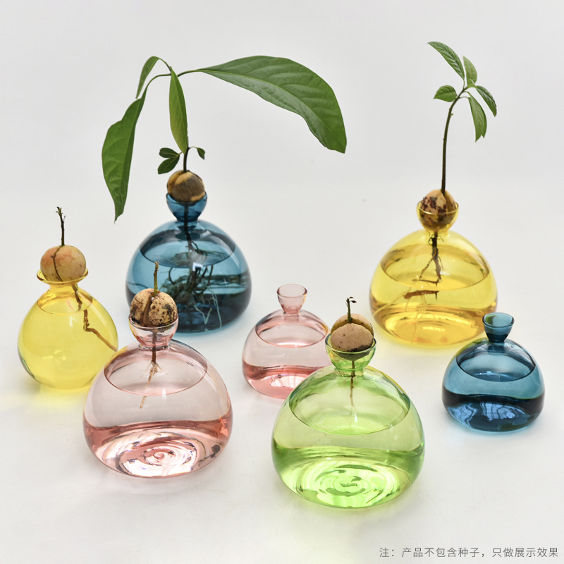 Japanese-Style Avocado Hydroponic Glass Vase, Special Vase for Planting Seeds, Fruit Core Hydroponic Container, Colorful Vase
