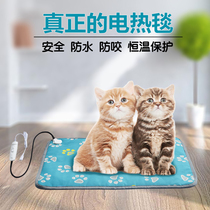 Pet electric blanket waterproof anti-scratch and anti-bite cat heating pad dog kennel cushion winter heater constant temperature warm