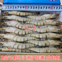 6-8 Grass shrimp 24 black tiger shrimp frozen prawns green prawns Jiangsu Shanghai Anhui 3 boxes free of mail
