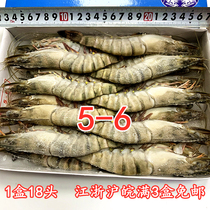 5-6 Grass shrimp 18 black tiger shrimp frozen spotted shrimp Jiangsu Zhejiang Shanghai Wanman 3 boxes free of mail
