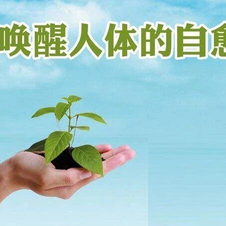 太赫兹科技健康鞋品牌总店
