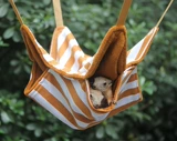Huangshan Squirrel Mink Chinchilla плюшевое хлопковое гамак -гамак питомец зимний изоляционный гнезд случайный цвет