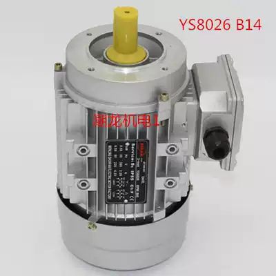 YS7126 YS7136YS8026YS8036YS90L6 Three-phase asynchronous motor 250W-750W1 1KW