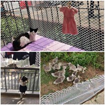 Balcony closed artifact window mesh fence protective plastic mesh pad cat anti-theft net pad cover window net