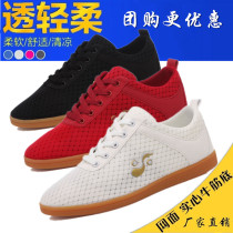 Wule net face tai Chi shoes womens white beef tendon bottom mens martial arts net face Taijiquan sports shoes square dance shoes