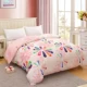 Bông cổ tích lãng mạn twill quilt cover đơn mảnh Cotton quilt bìa ký túc xá sinh viên đôi 150 200 230 - Quilt Covers