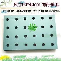 Fish pond hydroponic vegetable floating planting board soilless cultivation equipment water planting vegetable hydroponic planting foam board with hole planting