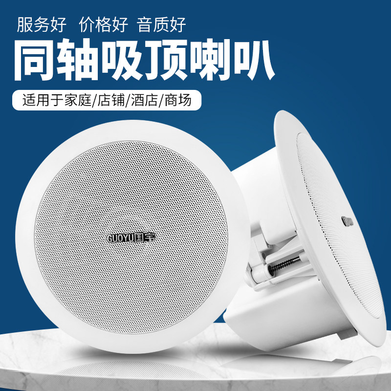Guoyu G-201 Ceiling Speaker Background Music Embedded Ceiling Audio Campus Broadcast Wall-Mounted Speaker