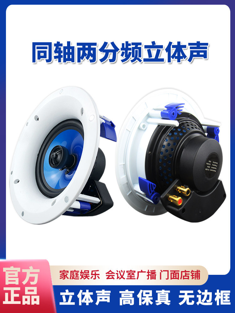 Guoyu G-96H Fixed-Resistance Ceiling Speaker Ceiling-Mounted Audio Hifi Speaker Stereo Home Theater Subwoofer