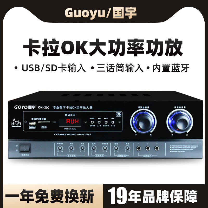 Guoyu 300W Fixed Resistance Hifi High-Power Amplifier Karaoke Home Ktv Stage Av Two-Channel Speaker