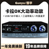 Guoyu 300W Fixed Resistance Hifi High-Power Amplifier Karaoke Home Ktv Stage Av Two-Channel Speaker
