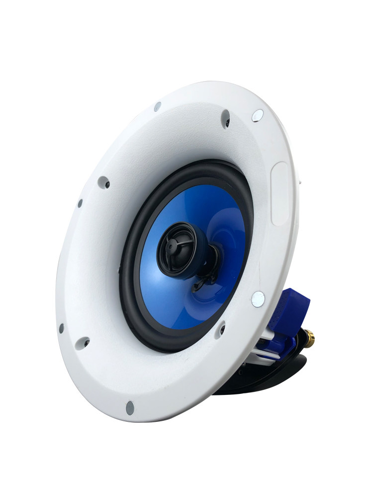 Guoyu G-96H Fixed-Resistance Ceiling Speaker Ceiling-Mounted Audio Hifi Speaker Stereo Home Theater Subwoofer