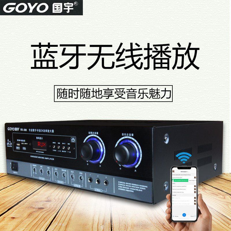 Guoyu 300W Fixed Resistance Hifi High-Power Amplifier Karaoke Home Ktv Stage Av Two-Channel Speaker