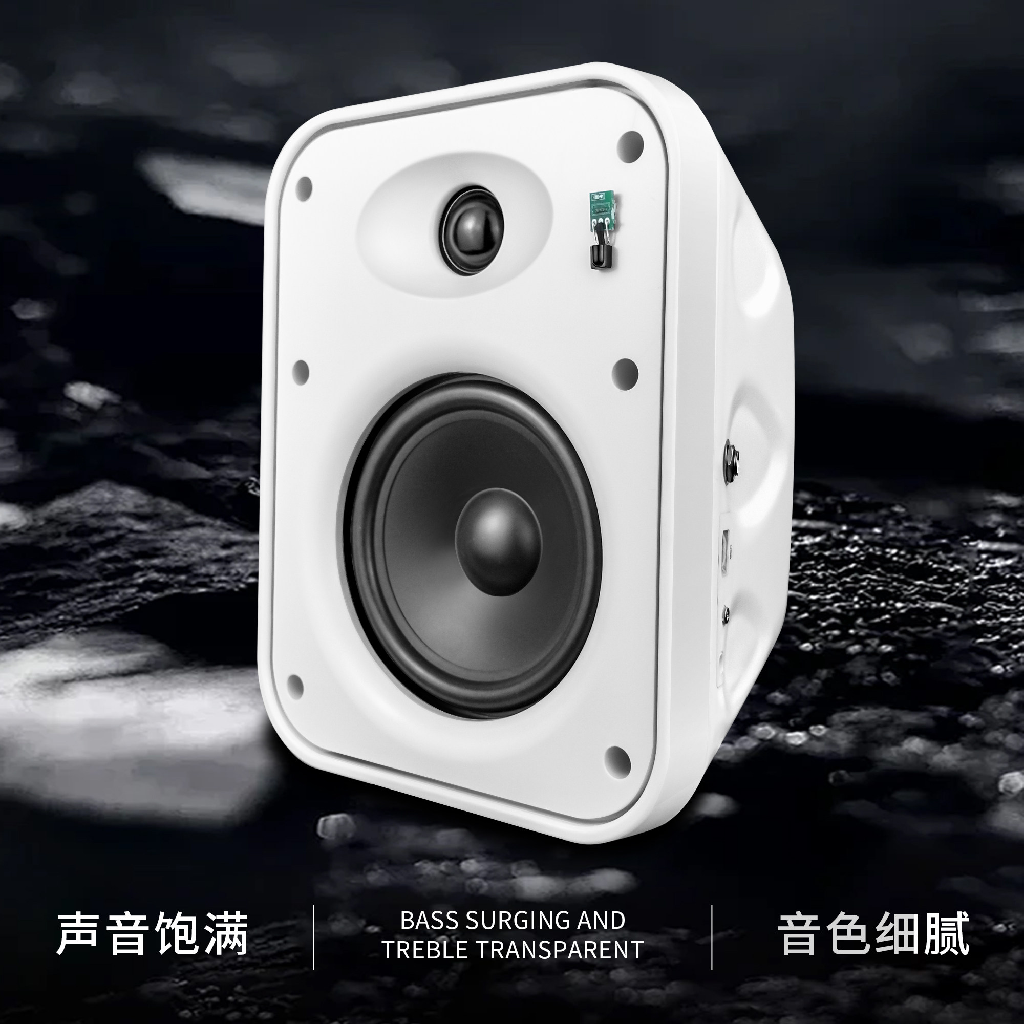 Guoyu Guoyu G-L5S Wall-Mounted Audio Active Wall-Mounted Wireless Bluetooth Speaker Two-Way Subwoofer Speaker