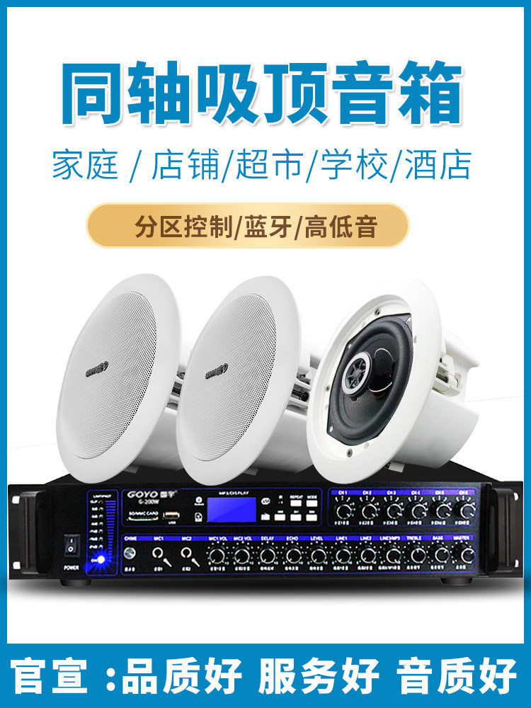 Guoyu Coaxial Ceiling Speaker Embedded Ceiling Audio Subwoofer Store Dedicated Speaker Amplifier