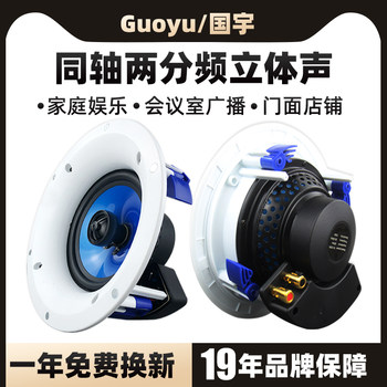 Guoyu G-96H Fixed-Resistance Ceiling Speaker Ceiling-Mounted Audio Hifi Speaker Stereo Home Theater Subwoofer