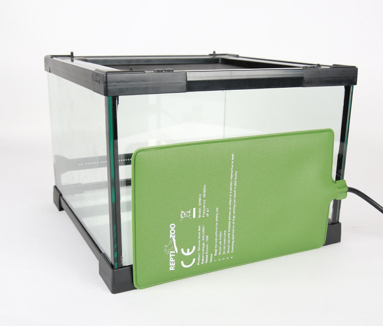 Аксессуары для рептилии reptizoo宠物爬宠加热垫温控睫角守宫蛇角蛙乌龟寄居蟹保温加温片 101564831