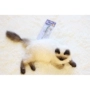 Tynepet thiết bị thuốc thú cưng cho chó dùng thuốc mèo và thuốc cho mèo - Cat / Dog Medical Supplies Máy siêu âm thú y giá rẻ