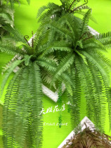 Simulation of grass Persian grass Fern ecological jungle window original ecological green plant wall with flower arrangement decoration