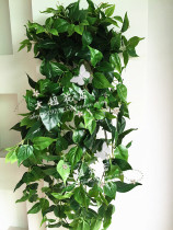 High-grade simulation green vine plant wall matching green boutique green Diola wall hanging flower Vine Ivy orchid wall hanging
