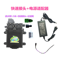 Intelligent gun stop car wash pump Fruit tree spray diaphragm pump Household pump booster motor 12V dual-core pump