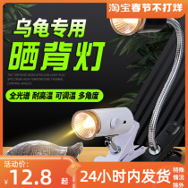 Turtle basking back lamp sun lamp basking turtle uva heating temperature uvb full spectrum calcium supplement ultraviolet turtle cylinder photo timing