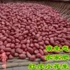 Товары от 农村情农家店