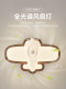 Artistic Children's Room Invisible Fan Light Airplane Boy Full Spectrum Eye Protection Antique Style Solid Wood Bedroom Lamp Casagd