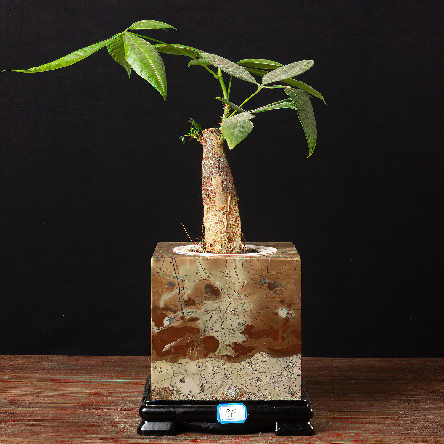 There are many kinds of grass and flower stones in Guangxi traditional Chinese painting stone square flowerpot creative succulent potted plants to send lazy hydroponic culture cup