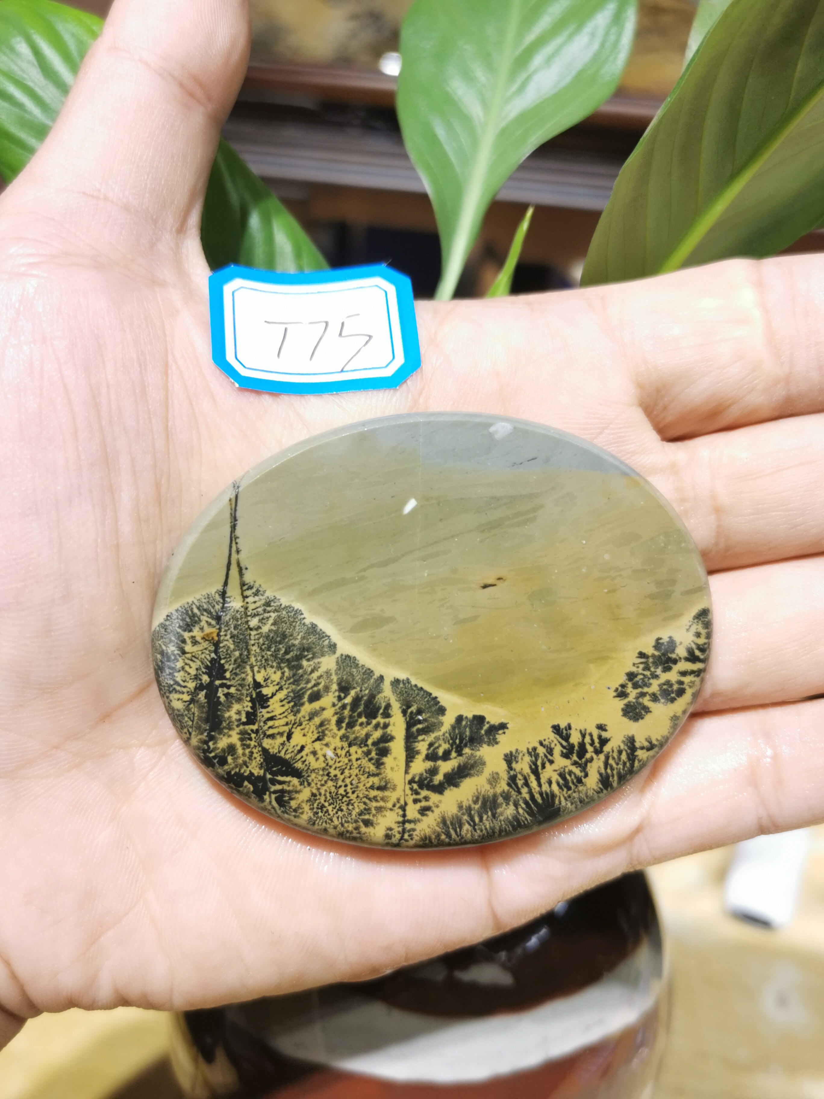 Natural stone Guangxi grass flower stone strange stone Chinese painting stone landscape pattern 6cm oval piece tea cup mat handle to play pendant