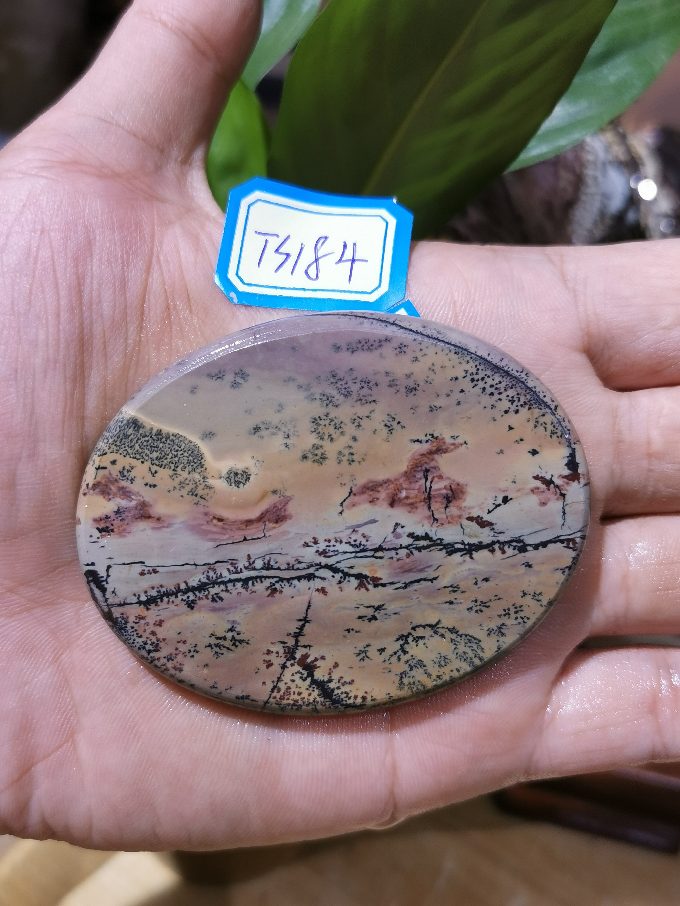 Natural stone Guangxi grass flower stone chishi stone country painting stone landscape pattern 6cm ellipsoidal tea cup mat hand to play pendant