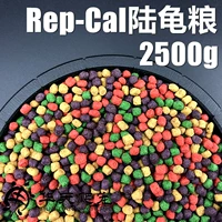 Rep-Cal Земля Черепаха