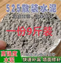 Bulk cement high-strength 525 bathroom leaking wall cracks quick-drying wall bricks and floors