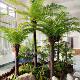 Simulated Coconut Tree, Simulated Grass Ball, Fake Grass Ball, Milan Ball, Large Simulated Green Plant, Indoor and Outdoor Plant Decoration Ornaments