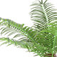 Simulated Coconut Tree, Simulated Grass Ball, Fake Grass Ball, Milan Ball, Large Simulated Green Plant, Indoor and Outdoor Plant Decoration Ornaments