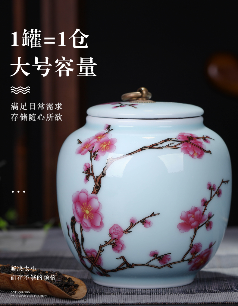 Exhibition of jingdezhen ceramics pu 'er tea tea pot of tea urn storage storehouse boxes large name plum tea caddy fixings