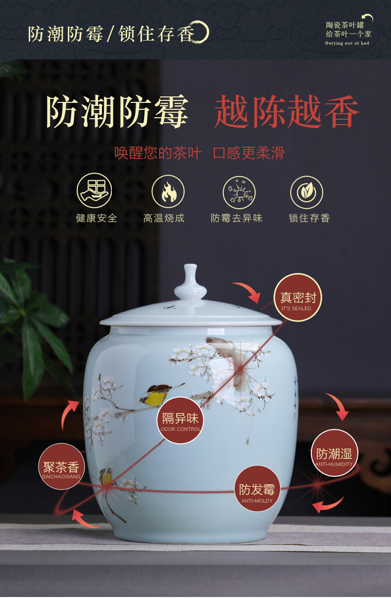 Hand - made ceramic name plum furnishing articles home decoration storage tank with cover Chinese tea pot large capacity home office