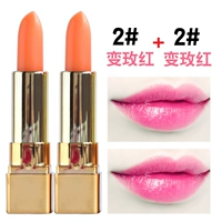 2#ежедневно (Rose Red) 2 установки