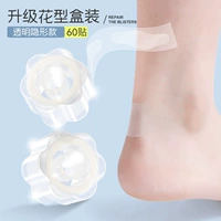 [2 коробки] Прозрачные модели с прозрачным и пушистым